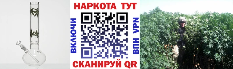 Названия наркотиков Нижнеудинск Alpha-PVP  Галлюциногенные грибы  Меф  АМФЕТАМИН 