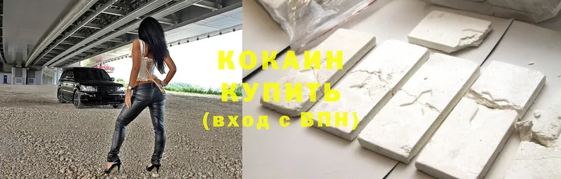 Cocaine Fish Scale  продажа наркотиков  Нижнеудинск 