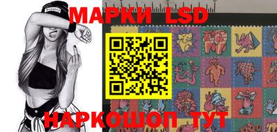 дмт Донской