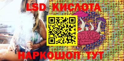 дмт Донской