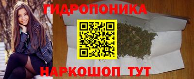 СК Донецк