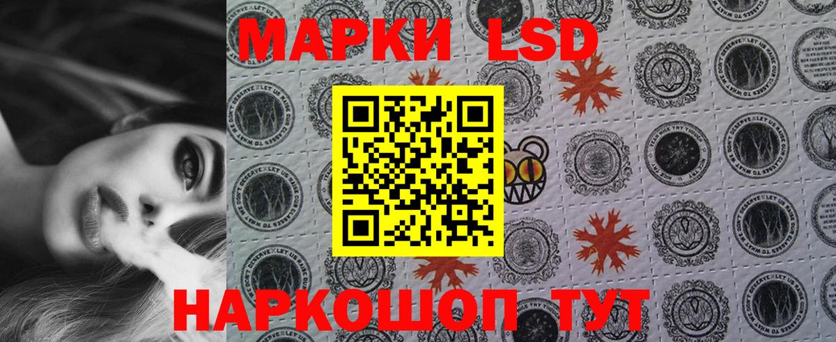 A PVP Нижнеудинск