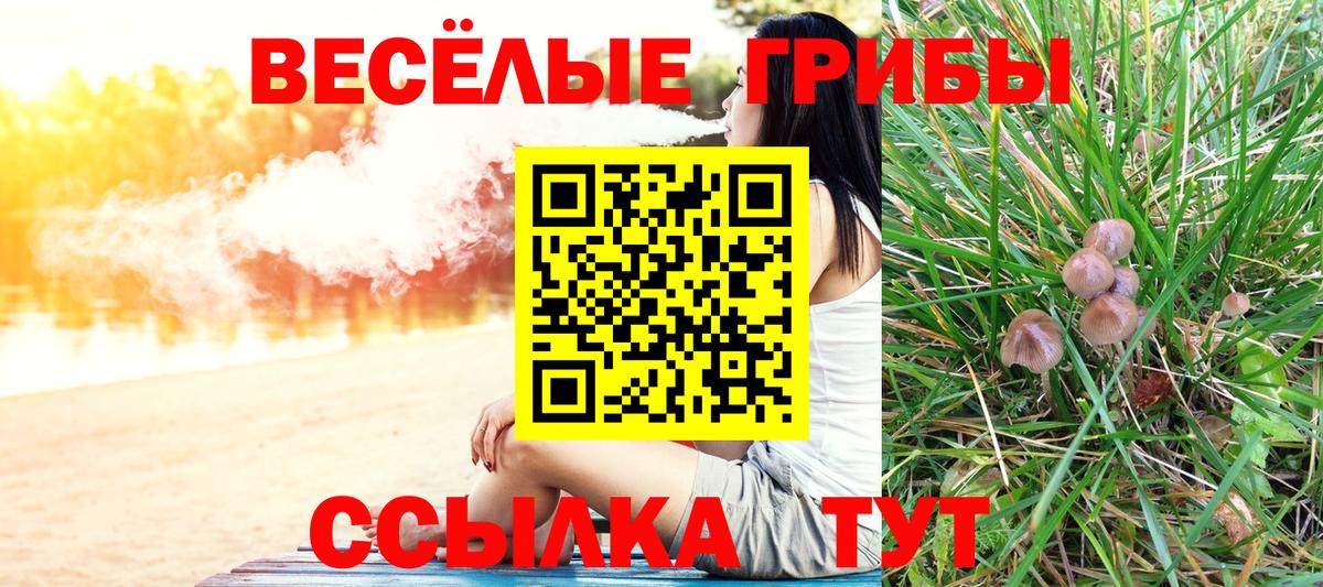 где можно купить наркотик  Псилоцибиновые грибы GOLDEN TEACHER  Вход с VPN  Нижнеудинск 