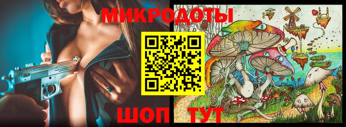 Галлюциногенные грибы Psilocybe Нижнеудинск